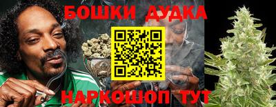 молекула духа Бузулук