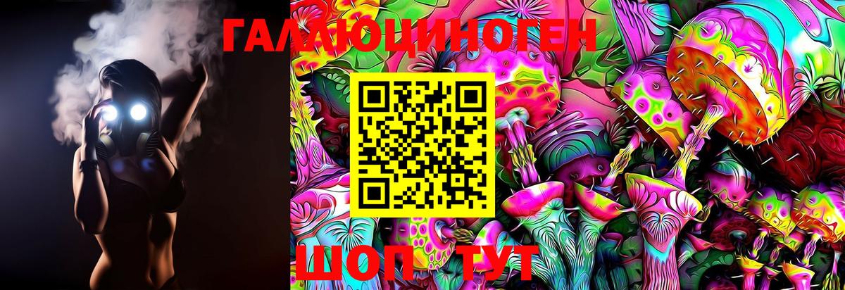 Псилоцибиновые грибы Psilocybe  где можно купить   Советск  Вход с VPN 