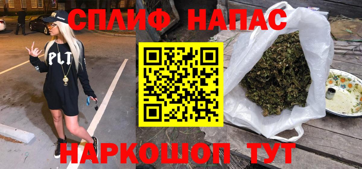Конопля планчик Советск